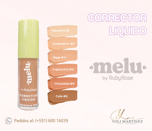 CORRECTOR LIQUIDO